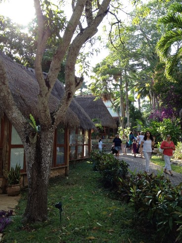 Mayan Excursion Tour