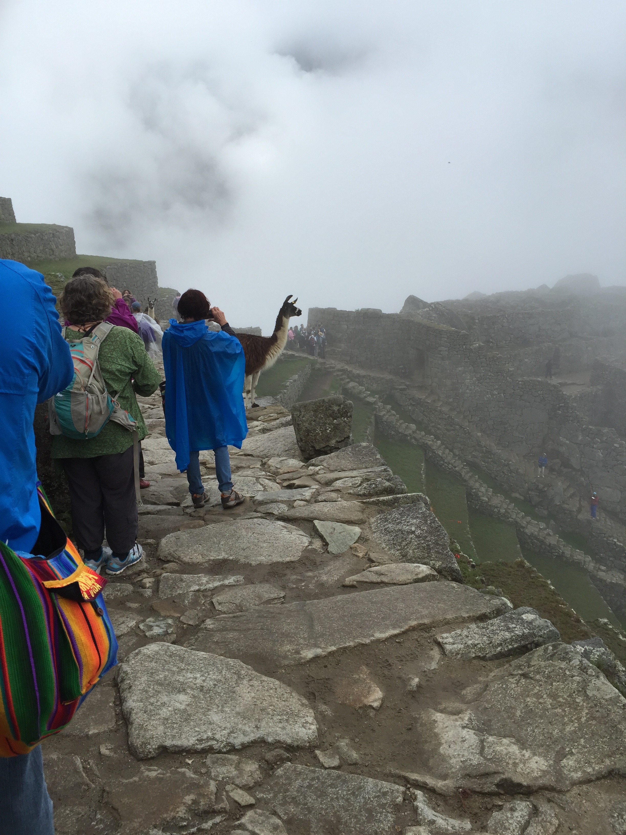 Spirit Adventure Tours